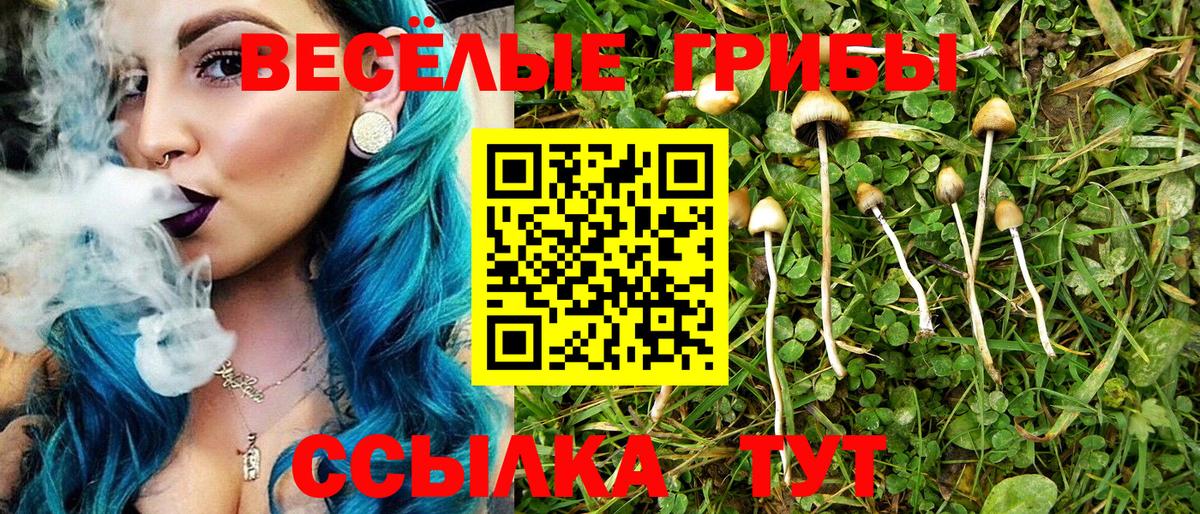 Галлюциногенные грибы прущие грибы Воронеж