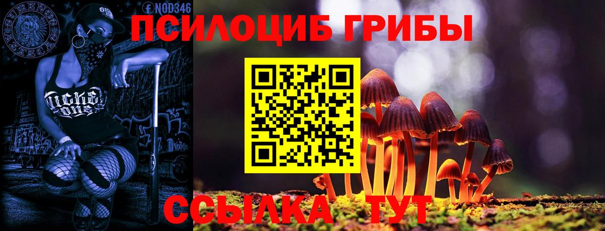 Псилоцибиновые грибы MAGIC MUSHROOMS  Вход с VPN  Галлюциногенные грибы GOLDEN TEACHER  Воронеж 